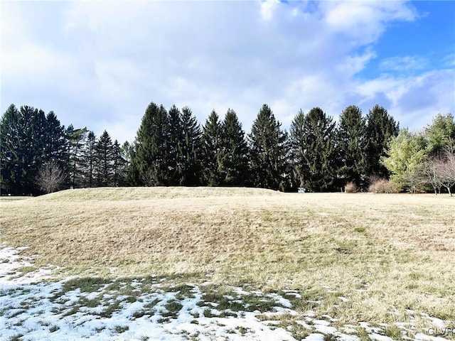 view of local wilderness