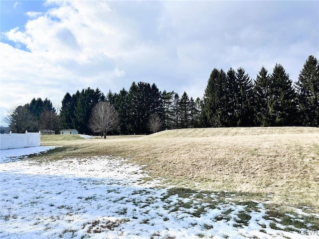 view of yard layered in snow