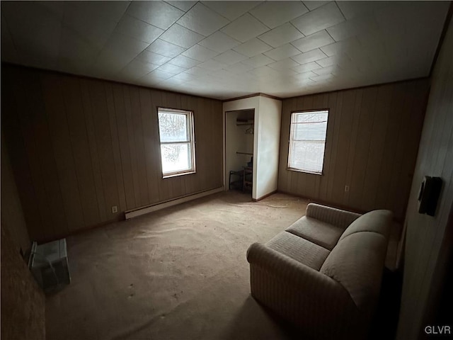 sitting room with wooden walls and a baseboard radiator