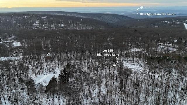 snowy aerial view featuring a mountain view