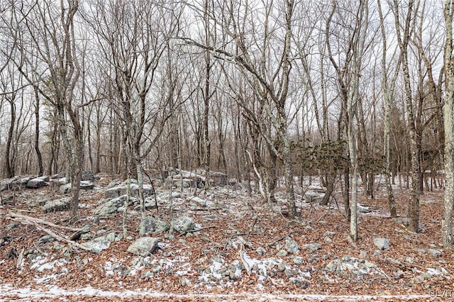 325 Blairwood Ln, Tunkhannock Township, PA 18210 - view of nature