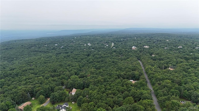 325 Blairwood Ln, Tunkhannock Township, PA 18210 - bird's eye view of a heavily wooded area