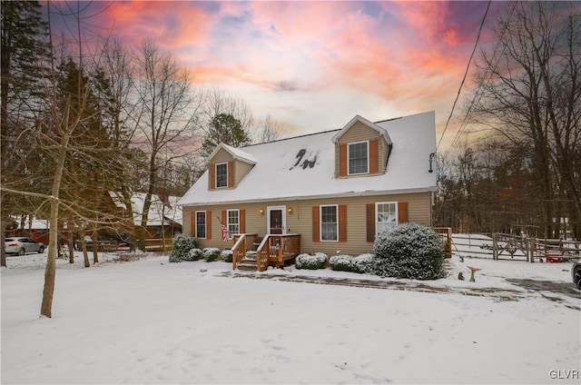 view of cape cod-style house