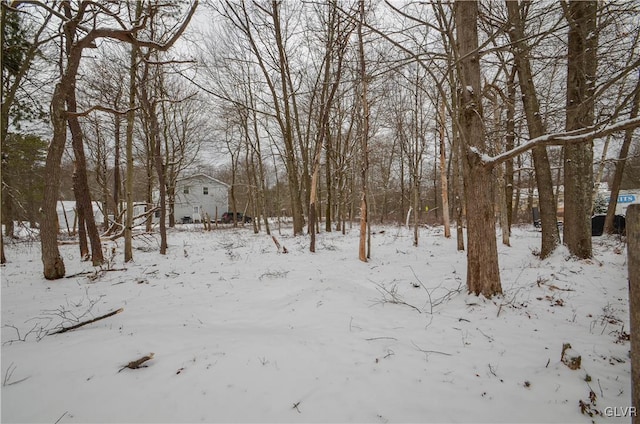 view of yard covered in snow