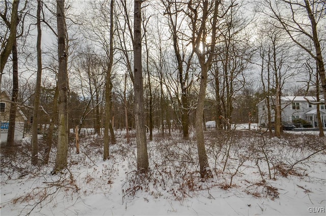 view of snow covered land