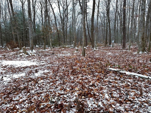 view of snowy landscape