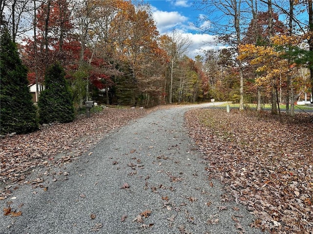 view of road