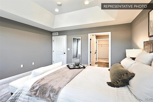 carpeted bedroom with a spacious closet, a closet, and a tray ceiling