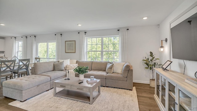 living room with a wealth of natural light and hardwood / wood-style floors