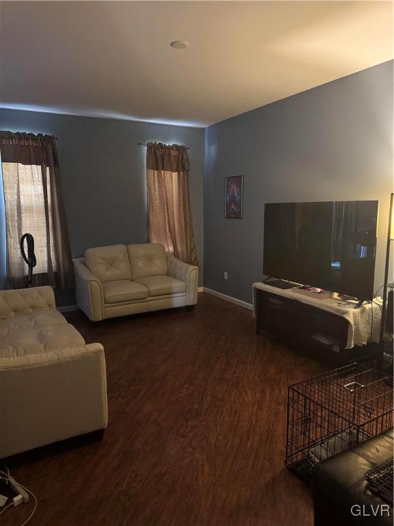 living room featuring dark hardwood / wood-style flooring