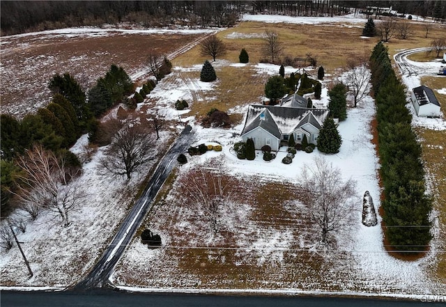 view of snowy aerial view