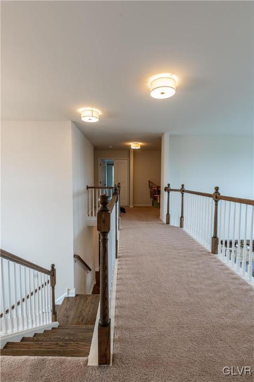 hallway featuring carpet floors