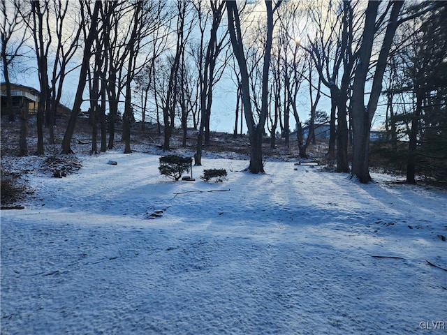 view of snowy yard