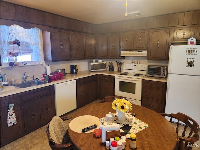 kitchen featuring sink, dark brown cabinets, and white appliances