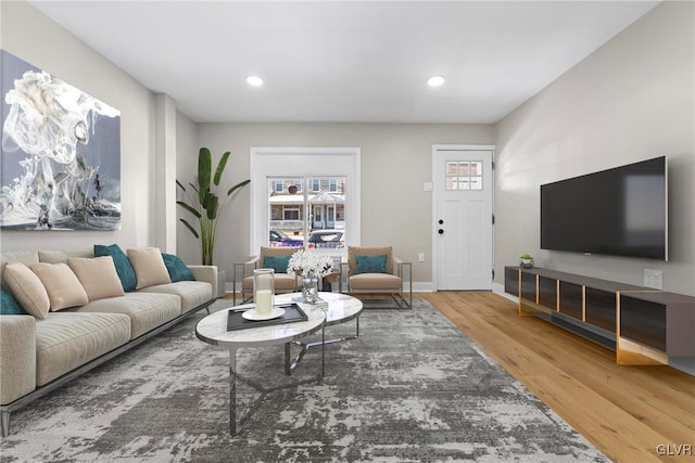 living room featuring hardwood / wood-style flooring