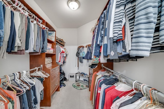 walk in closet with light colored carpet