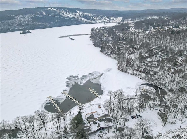 view of snowy aerial view