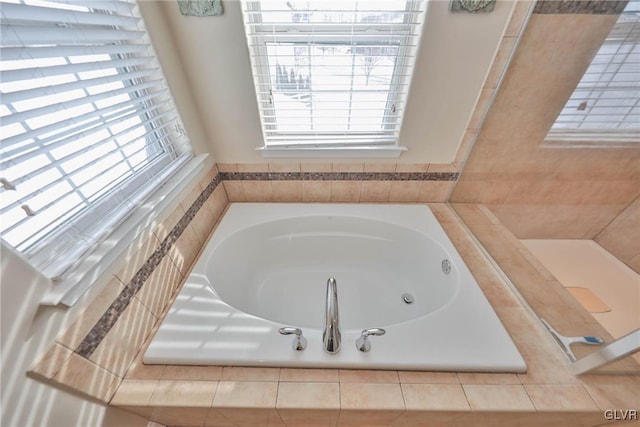 bathroom with a bathing tub