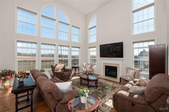 living room with a high ceiling and wood-type flooring