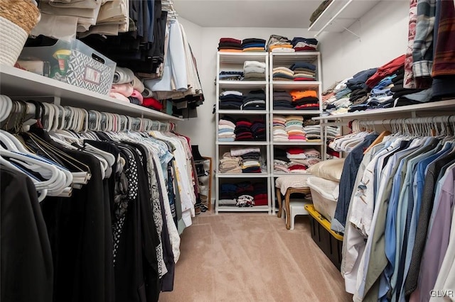 spacious closet featuring light carpet