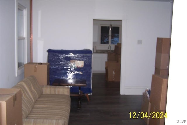 living room with dark wood-type flooring