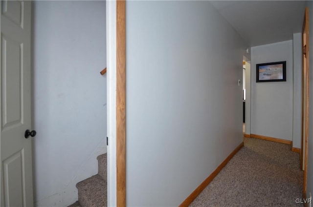 hallway featuring carpet flooring