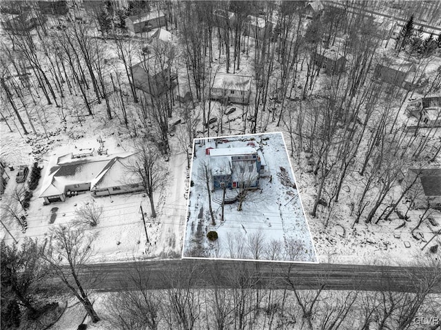 view of snowy aerial view