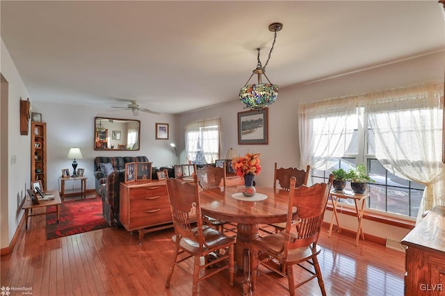 dining room featuring ceiling fan and hardwood / wood-style floors