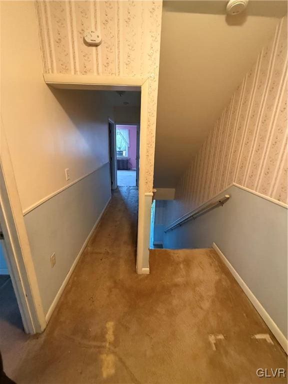 stairway featuring carpet floors