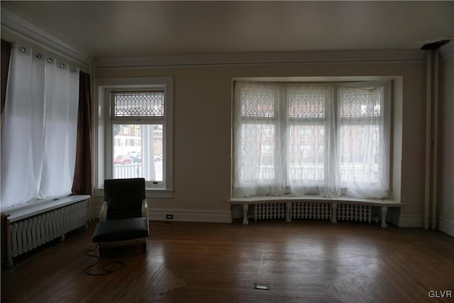 living area with radiator