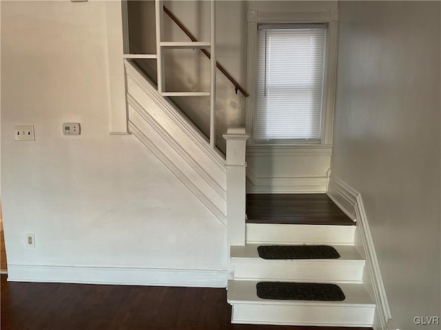 staircase with hardwood / wood-style floors