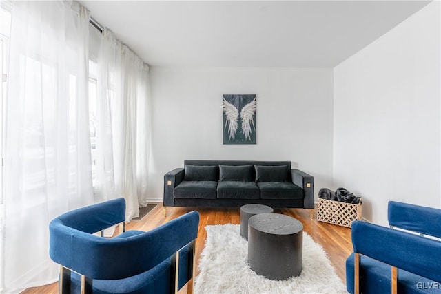 living room featuring hardwood / wood-style floors