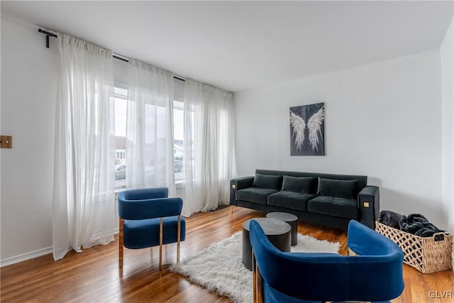 living room featuring hardwood / wood-style floors