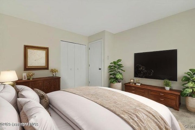 bedroom with carpet floors and a closet