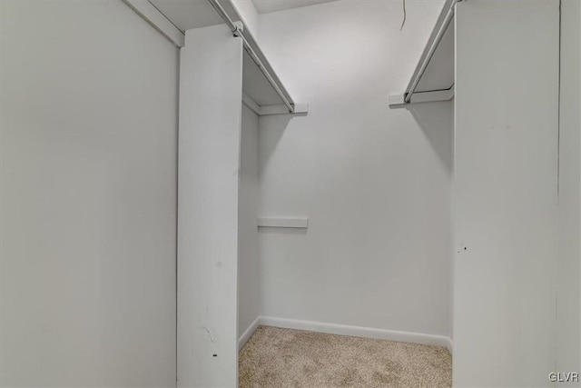 spacious closet with light carpet