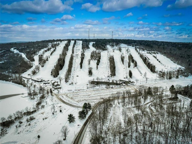 view of snowy aerial view