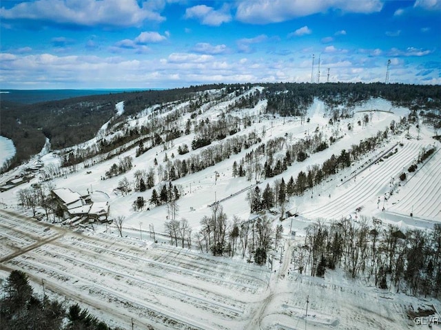 view of snowy aerial view