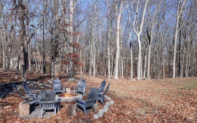 view of yard with an outdoor fire pit