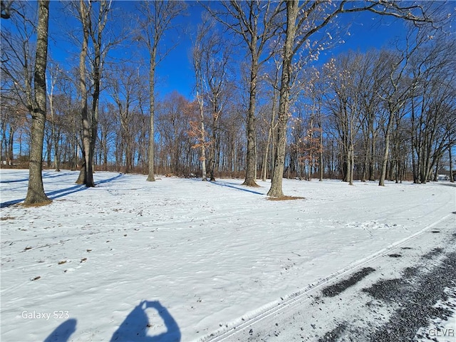 view of yard layered in snow