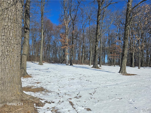 view of yard covered in snow