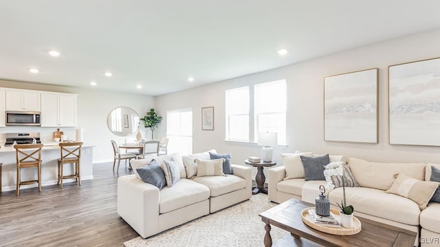 living room featuring light hardwood / wood-style flooring