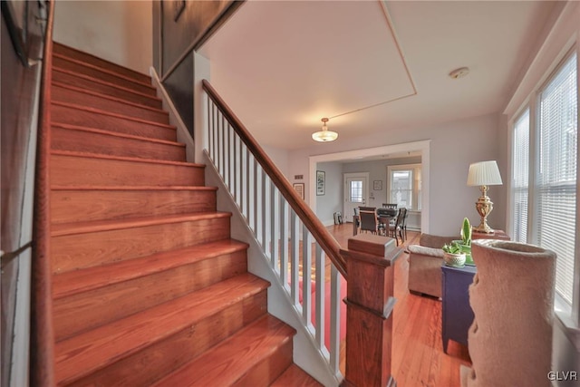 staircase featuring wood finished floors