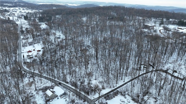 snowy aerial view with a mountain view