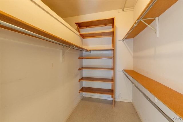 spacious closet featuring light carpet