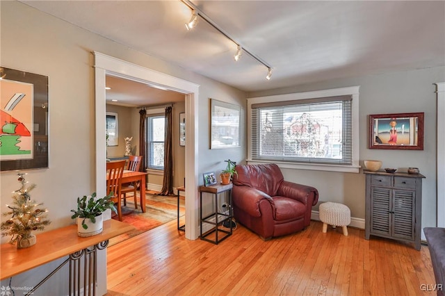 sitting room featuring track lighting and light hardwood / wood-style flooring