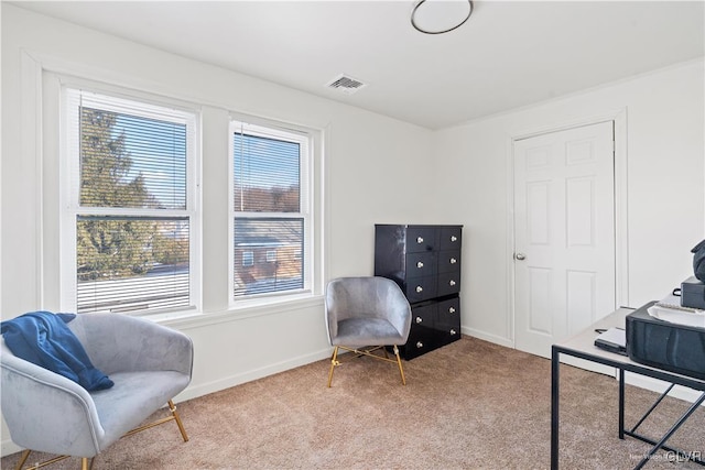 sitting room with carpet flooring and a wealth of natural light