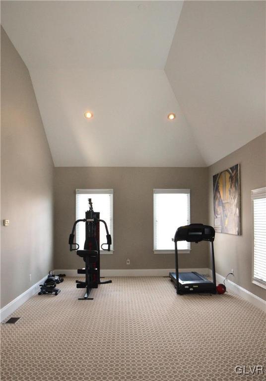 workout area featuring vaulted ceiling and carpet