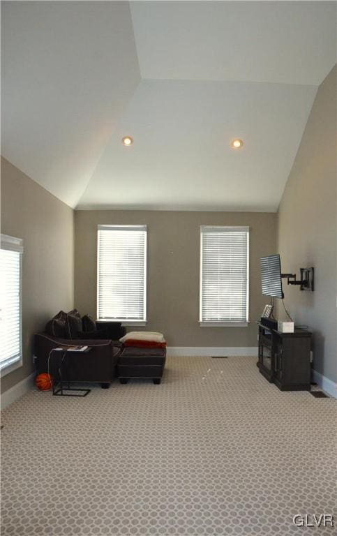 interior space with lofted ceiling