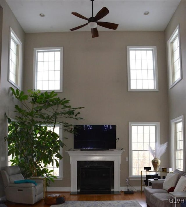 living room with hardwood / wood-style floors and ceiling fan