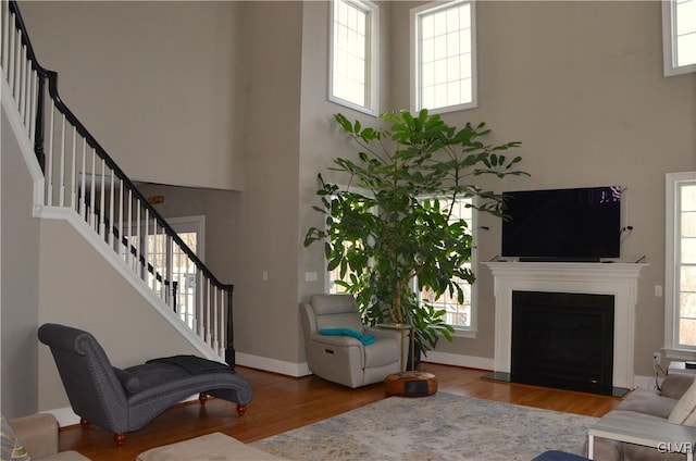 living room with wood-type flooring and a high ceiling